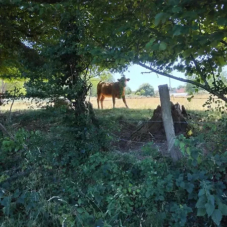 Le Moulin Aux Lunettes *